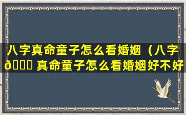 八字真命童子怎么看婚姻（八字 🐕 真命童子怎么看婚姻好不好）